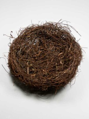 nestje-20-cm-van-salim