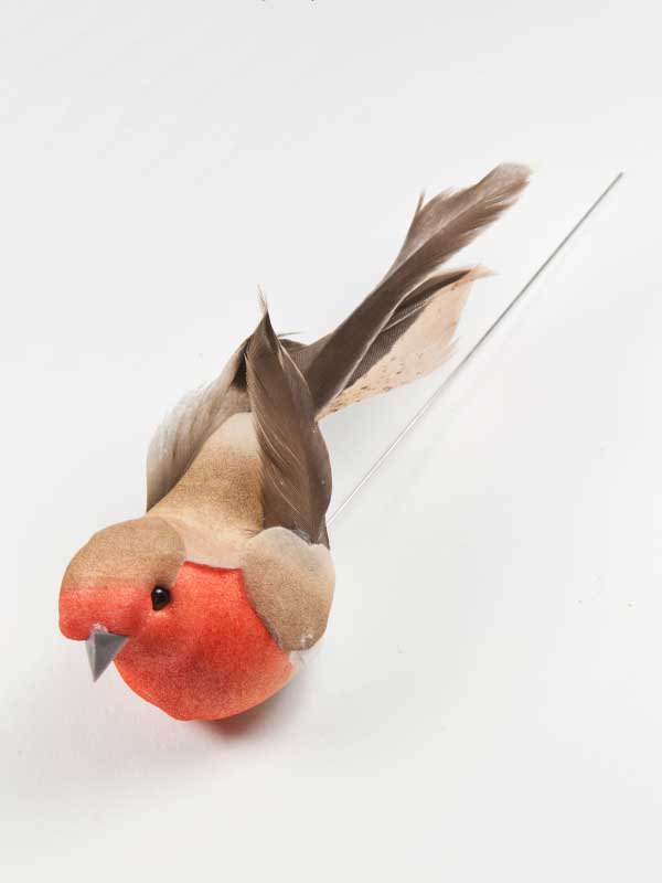 vogeltje-oranje-op-draad