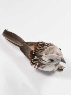 vogeltje op clip, licht grijs met bruin gestreepte mantel