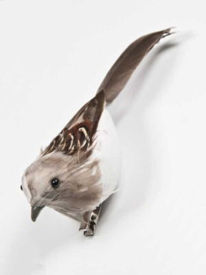 vogeltje op clip licht grijs met wit buikje en bruine mantel