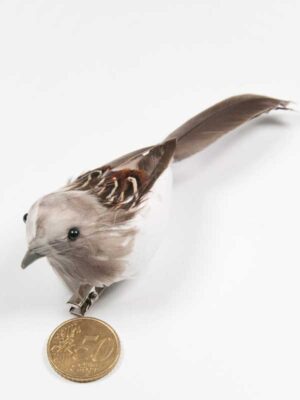 vogeltje op clip vergeleken met 50 ct munt