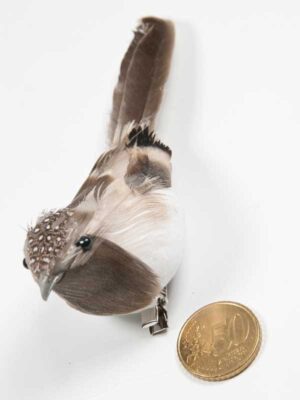 vogeltje-op-clip-spikkels-op-kopje-vergeleken-met-50ct-munt