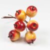 appeltjes-geelrood-op-draad
