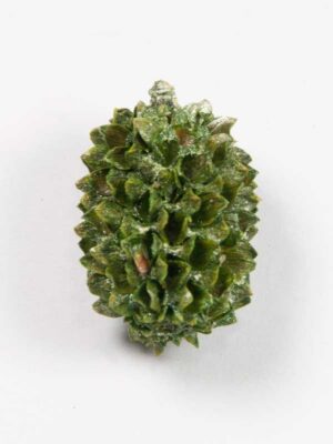 Casuarinakoppen pearl washed groen - 50 gram - Afbeelding 3