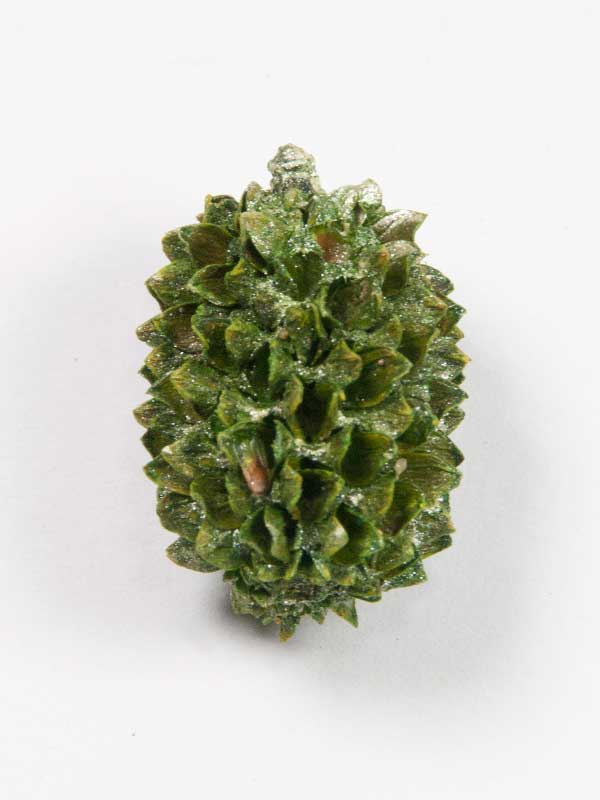 Casuarinakoppen pearl washed groen - 50 gram - Afbeelding 3