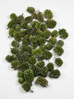 casuarina-koppen-pearl-washed-groen
