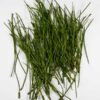 dennennaalden-groen-pinus-30-gr