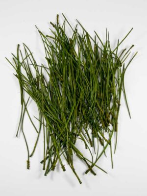 dennennaalden-groen-pinus-30-gr