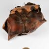 palm-cup-groot-vergeleken-met-50ct-munt