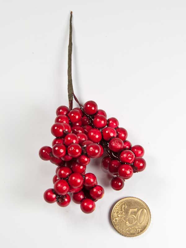 tros-besjes-op-draad-vergeleken-met-50-ct-munt
